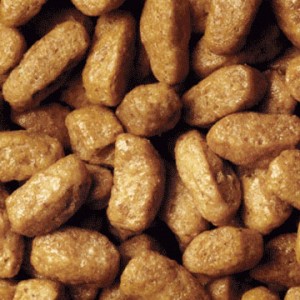 Pro Plan Cat Sterilised Renal barība sterilizētiem kaķiem ar lasi 10kg