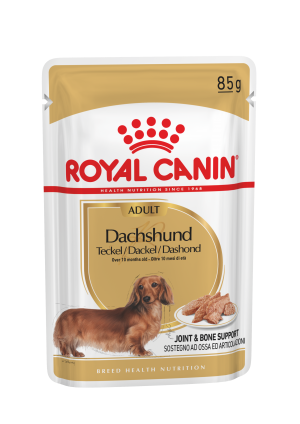 Royal Canin BHN Dachshund wet konservi suņiem 12x85g