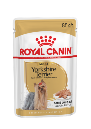 Royal Canin BHN Yorkshire wet konservi suņiem 12x85g