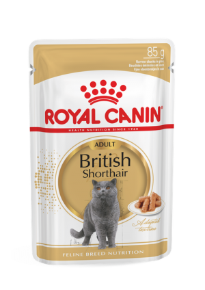 Royal Canin FBN British Shorthair Wet konservi kaķiem mērcē 85gx12