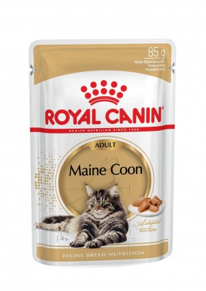 Royal Canin FBN Persian Maine Coon konservi kaķiem 12x85g