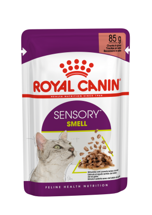 Royal Canin FHN Sensory Smell in gravy konservi kaķiem 12x85g