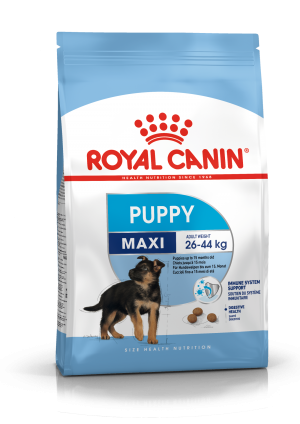 Royal Canin SHN Maxi Puppy 15kg