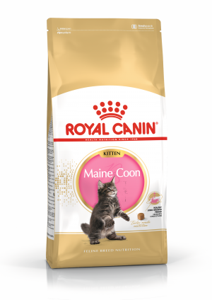 Royal Canin FBN Kitten Maine Coon 10kg