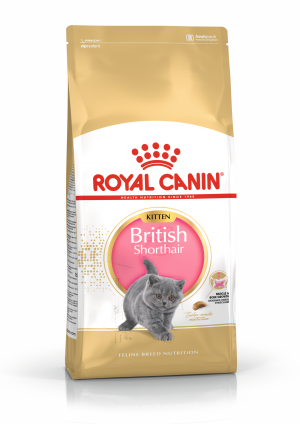 Royal Canin FBN Kitten British Shorthair 10kg