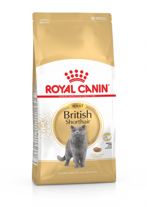 Royal Canin FBN British Shorthair 400g